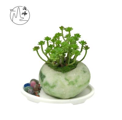 China Stocked/EO-Friedfly/Easy to Clean/Not Easy to Break 2021 New Small Plant Artificial Potted Resin Orchid Bonsai for Home Decor Office Decorations for sale