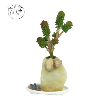 China Stocked/EO-friedfly/to clean easy/not easy to break 2021 Potted Plant New Arrival Resin Orchid Artificial Potted Succulents Bonsai flowers for home decor for sale