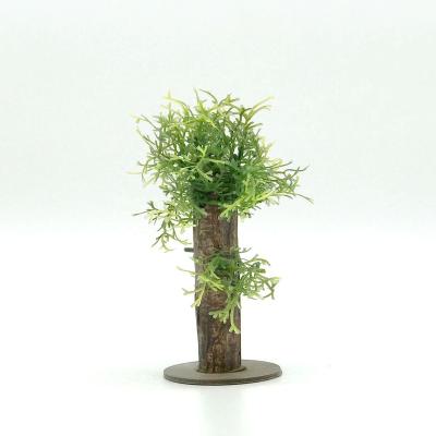 China Artificial Plastic Reptile Viable Decoration Mini Greenhouse Supplie Aquarium Plants For Reptile Aquarium Decoration for sale