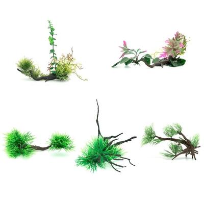 China Cheap Viable Aquarium Green Dwarf Plants Mini Greenhouse Reptile Accessories for sale