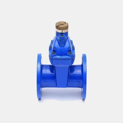 China Factory Sale Durable Water Guard Type Prevent Theft Encryption Sluice Gate Valve for sale