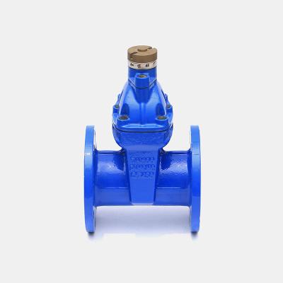 China Water Guard Factory Manufacture 4 Inch Ductile Iron Various Prevent Theft Encryption Sluice Gate Valve for sale