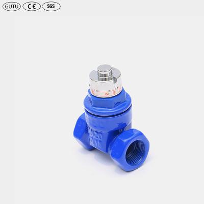 China High Quality Material Water Guard Tap Water Encryption The Screw Thread Gate Valve for sale