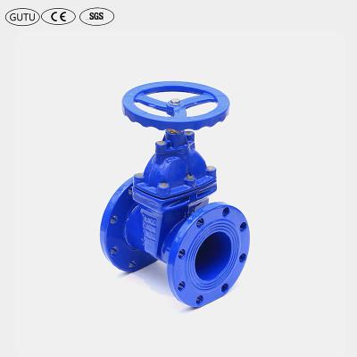 China Professional Cheap Resilient Seal Flange Door Valvee Water Guard Malleable Iron for sale