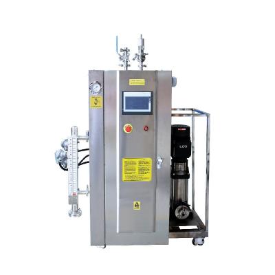 China VERTICALE advanced pure clean sanitary electric steam generator for disinfection for sale