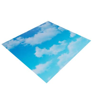 China Industrial Faux Led Decorative Blue Skylight Led Panels 600x1200 Light Blue Sky 60W Ceiling Light Led Panel for sale