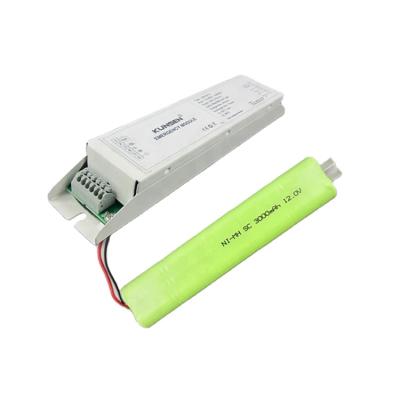 China Emergency Lighting High Power Led Emergency Lighting Converter for sale