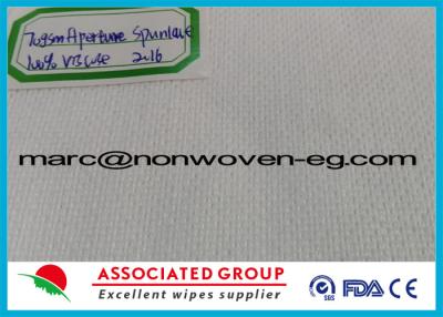 Chine Mesh Spunlace Nonwoven Fabric Apecture/22, aiguille non tissée a poinçonné le tissu à vendre