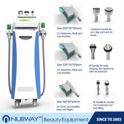 China Best effect!!! fat freeze,skin rejuvenation,wrinkle removal cryolipolysis slimming machine for sale