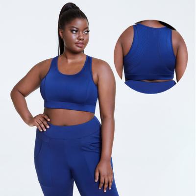 China Push Up Top Breathable High Impact Plus Size Sports Bra Plus Size Women Gym Wear for sale