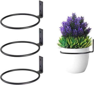 China Heavy industry plant rings for wall, metal wall planter pot holder, wall mounted flower pot hanger, plant for sale