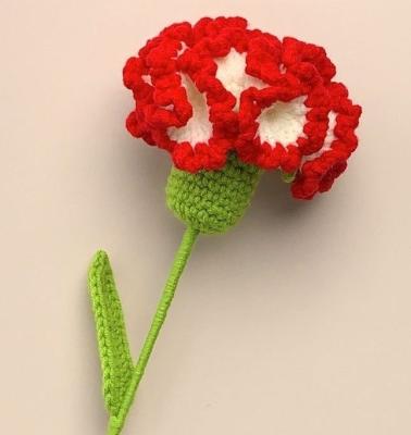 China Gift Preserved Flower Valentine Wholesale Luxury Everlasting Stabilized Preserved Carnation Wedding Anniversary Customized Color for sale