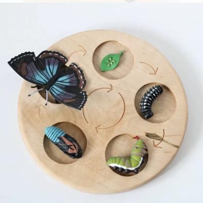 China Wooden Toys Science Insect Plants Growth Disc Cognitive Cycle Disc Wooden Children Play for sale