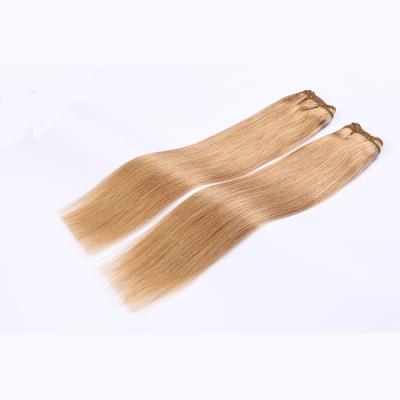 China Wholesale Raw Human Remy And Virgin Human Hair Brazilian Can Customized Hair Bundle Weft Hair WEFT27 for sale