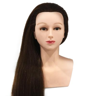 China Durable Shoulder Half Head Body Shoulder Teaching Head Model for sale