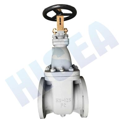 China jis f7363 5k marine cast iron use gate valves jis 5k marine gate valve for sale