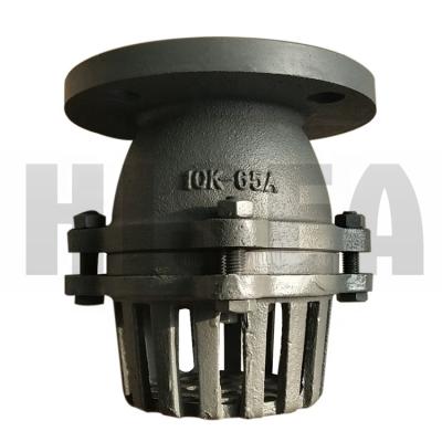 China Cast iron general suction valve for sale