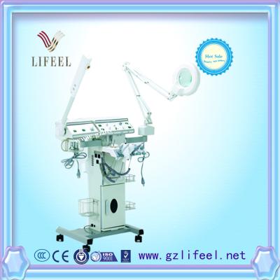 China 12 in 1 multifunctional facial machine beauty equipment (9006) for sale