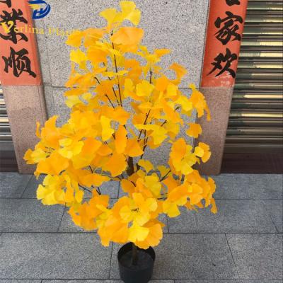 China Home Office Environment Friendly Customized Decorative Ginkgo Tree Potted Bonsai for sale