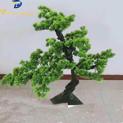 China China Environmental Plastic Indoor Home Ornamental Artificial Pine For Sale for sale