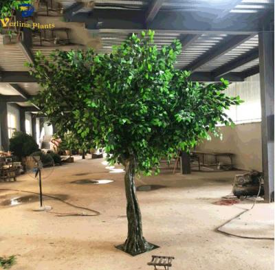 China Customized environment friendly high simulation artificial green ficus tree for restaurant plaza for sale