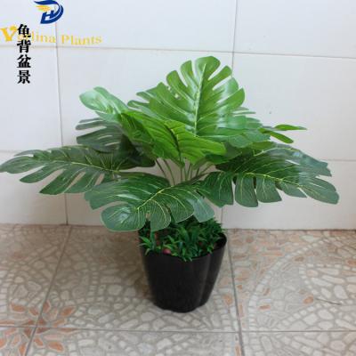 China Environmental Friendly Decorative Ornamental Plastic Artificial Monstera Bonsai Trees For Hotel Decoration for sale