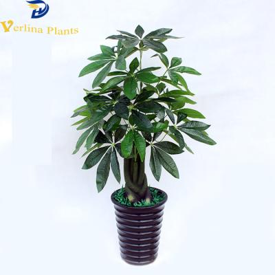 China Environmentally Friendly Hotel Decoration Potted Bonsai Trees Different Types for sale