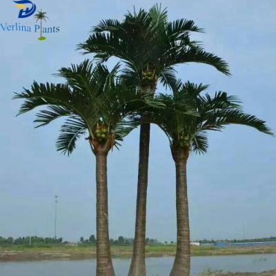 China Environmental Friendly Centerpieces Green New Design High Quality Indoor Artificial Coconut Trees for sale