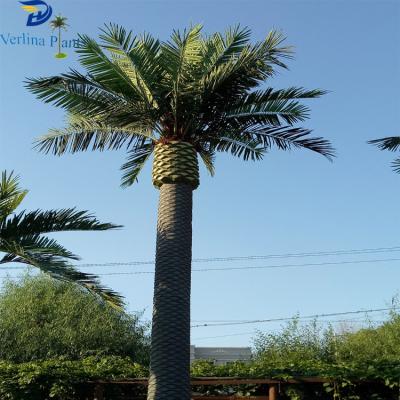 China Durable And Simulation Artificial Outdoor Decorative Date Palm Tree for sale