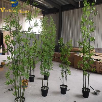 China Environmental friendly natural green indoor decorative plastic bamboo plants for sale for sale