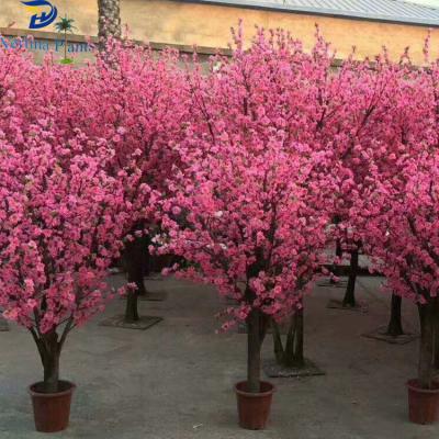 China Eco-Friendly Decoration Environmentally Friendly Pink Park Ornaments White Artificial Indoor Cherry Blossom Tree for sale