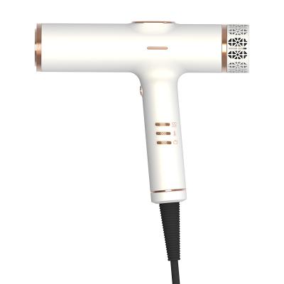 China Ionic Profession Negative Ion Care Home Salon Travel BLDC Motor Hair Dryer for sale