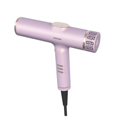 China Professional Household Low Noise Negative Ionic Hair Dryer Cold Air Quick-Drying Electric and Warm Hair Dryer with Diffuser for sale