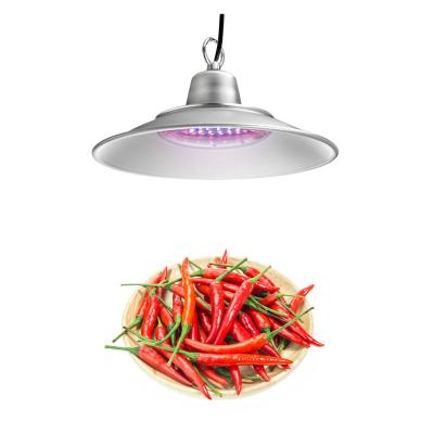 China Seed Starting Suppliers Chinese Orchard Led Lights 2021 Vegetables Garden Grow Led Bulb Plant Grow Light for sale