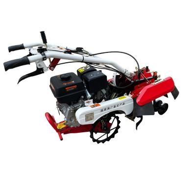 China Farms Electric Tiller And Cultivator With 400mm Cutting Width Rotary Tiller Garden CultivatorCan Change Max for sale