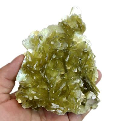 China China Wholesale Natural Raw Mineral Specimen Mica Healing Crystals Yellow Stone Stone For Crystal Specimen for sale