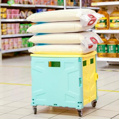 China Climbings Luggage Trolleys Mini Small Plastic Portable Folding Supermarket Foldable Shopping Carts Eco - Friendly Bag Trolley for sale