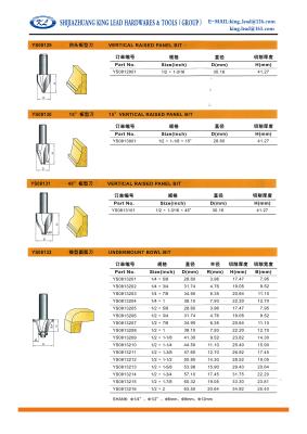 China VERTICAL RAISED PANEL BIT for sale