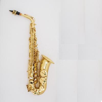 China Good Gold Lacquer Alto Saxophone Easy Play OEM for sale