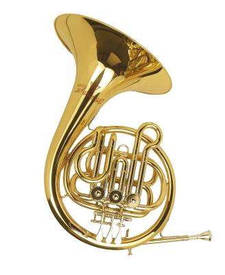 China Chinese Manufacturer Wholesale High Quality Yellow Brass Fan Children's Musical Instrument French Horn for sale