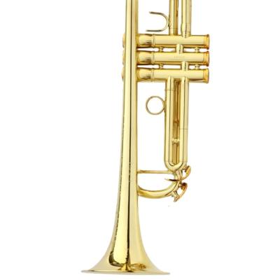 China Gold lacquer factory musical instrument trumpet direct professional suitable for beginners to practice for sale