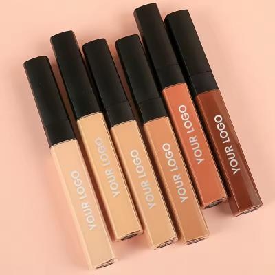 Cina Portatile Liquid Concealer Copertura duratura Abbelli il trucco facciale idratante in vendita