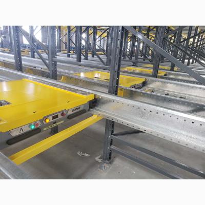 China Corrosion Protection Cane Mills and Plants Storage Radio Shuttle Rack Pallet Racks Auto Radio Mole Shelving for sale