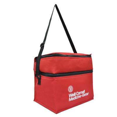 China China Supplier Waterproof Custom Polyester Cooler Bag With Bento Cheap Lunch Bag Cooler for sale