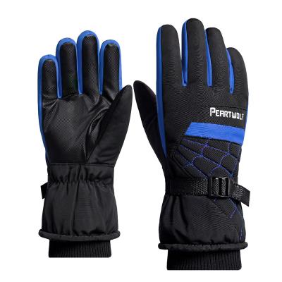 China Jacquard Waterproof Winter Touch Screen Warm Gloves Cycling Cycling Gloves Windproof Skiing Gloves for sale