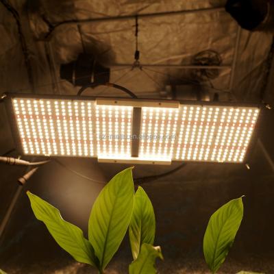 China Seed Starting Meijiu Greenhouse Grow Lamp Samsung Lm301H 240W Full Spectrum Led Growing Light For Indoor Plant for sale