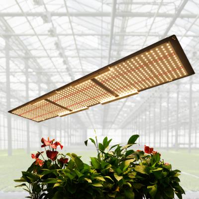 China Seed Starting Sale Of Meijiu Folux Qb288 320 Watt Led Grow Light, Meiju Newest 320 Full Lm301b Lm301h 320w Grow Lights for sale