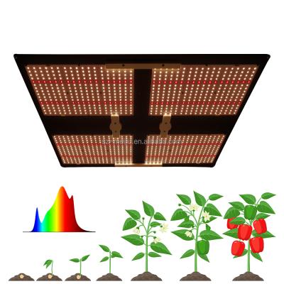 China Seed Starting 480W Meijiu Samsung Led Grow Lights Lm301B/H Red 480 Watts 660Nm Grow Lights For Indoor Plants for sale