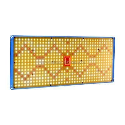 China Seed Starting Meijiu Samsung Lm301H Led Grow Light Red 660Nm IR 730Nm 395Nm UV 240W 480W 720W Led Grow Light Indoor Plants for sale