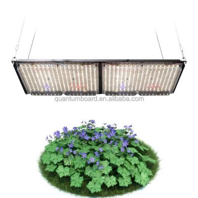 China Seed Starting Meijiu Greenhouse Grow Lamp Samsung Lm301H 240W Full Spectrum Led Growing Light For Indoor Plant for sale